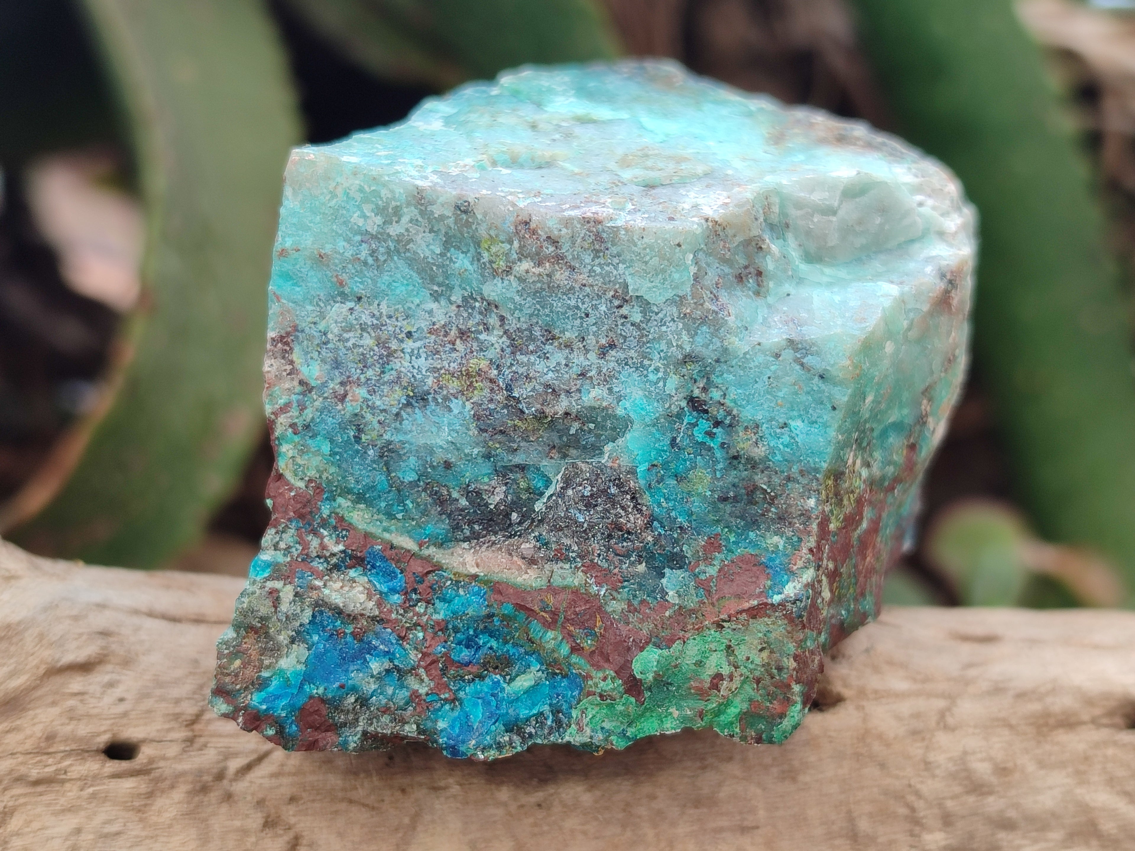 Natural Shattuckite with Chrysocolla and Malachite x 12 from Kaokoveld, Namibia - Toprock Gemstones and Minerals 