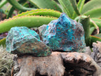 Natural Shattuckite with Chrysocolla and Malachite x 12 from Kaokoveld, Namibia - Toprock Gemstones and Minerals 