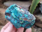Natural Shattuckite with Chrysocolla and Malachite x 12 from Kaokoveld, Namibia - Toprock Gemstones and Minerals 