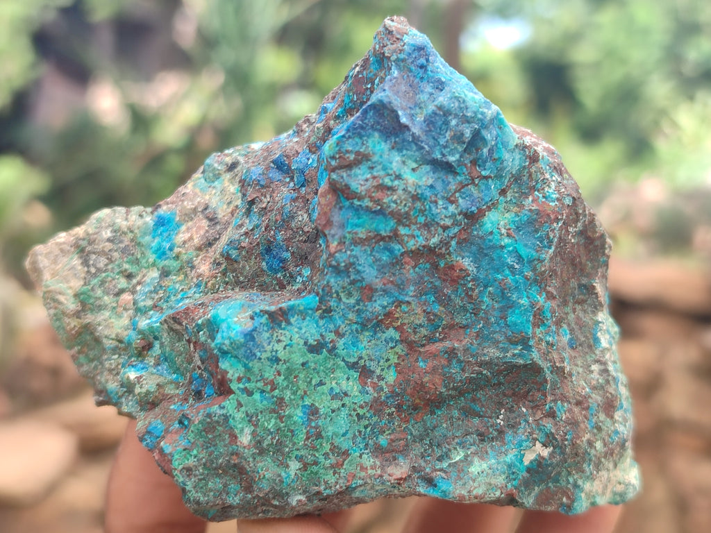 Natural Shattuckite with Chrysocolla and Malachite x 12 from Kaokoveld, Namibia - Toprock Gemstones and Minerals 