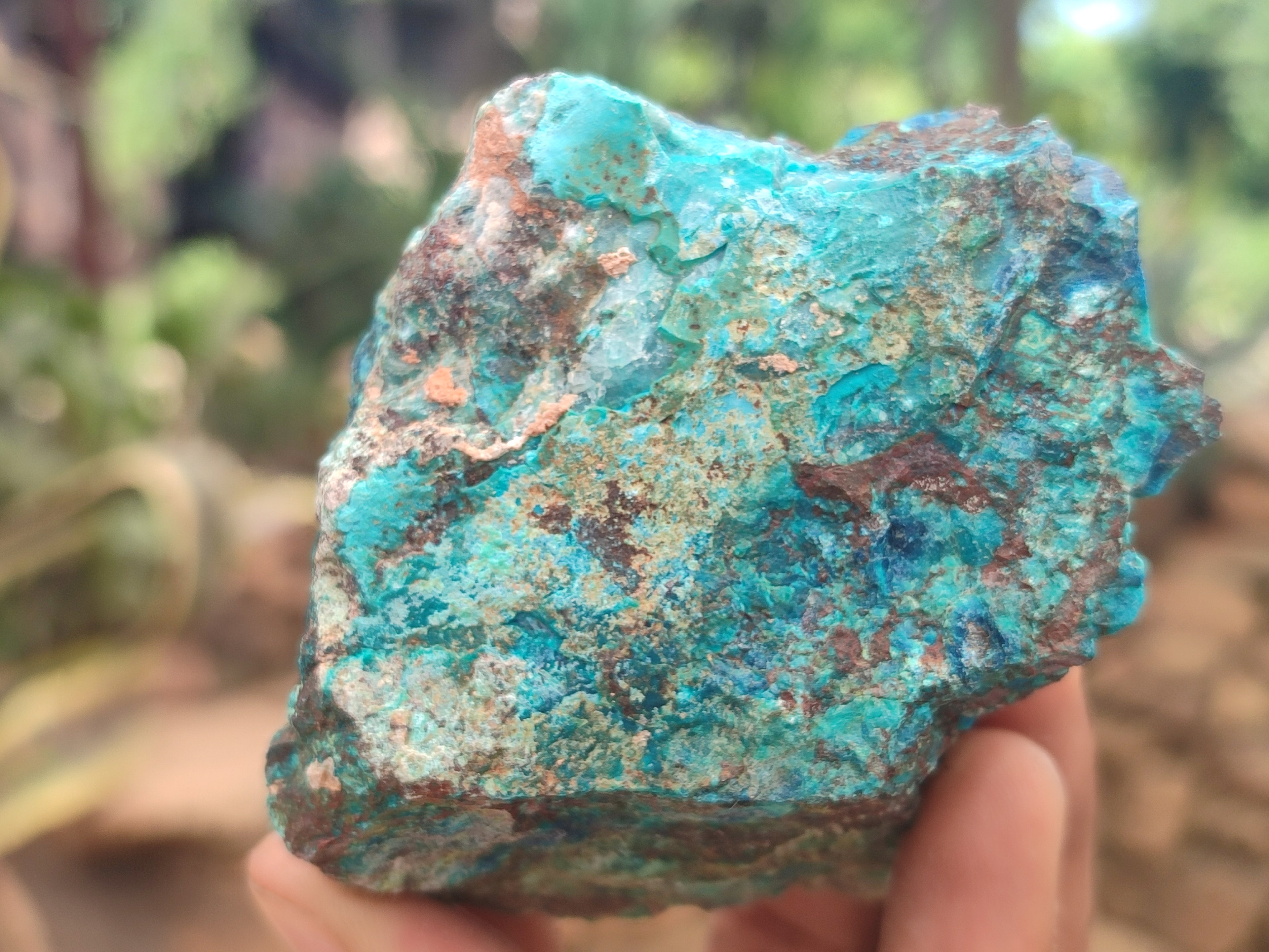 Natural Shattuckite with Chrysocolla and Malachite x 12 from Kaokoveld, Namibia - Toprock Gemstones and Minerals 
