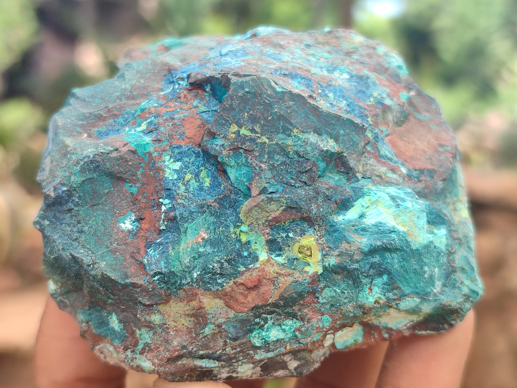 Natural Shattuckite with Chrysocolla and Malachite x 12 from Kaokoveld, Namibia - Toprock Gemstones and Minerals 