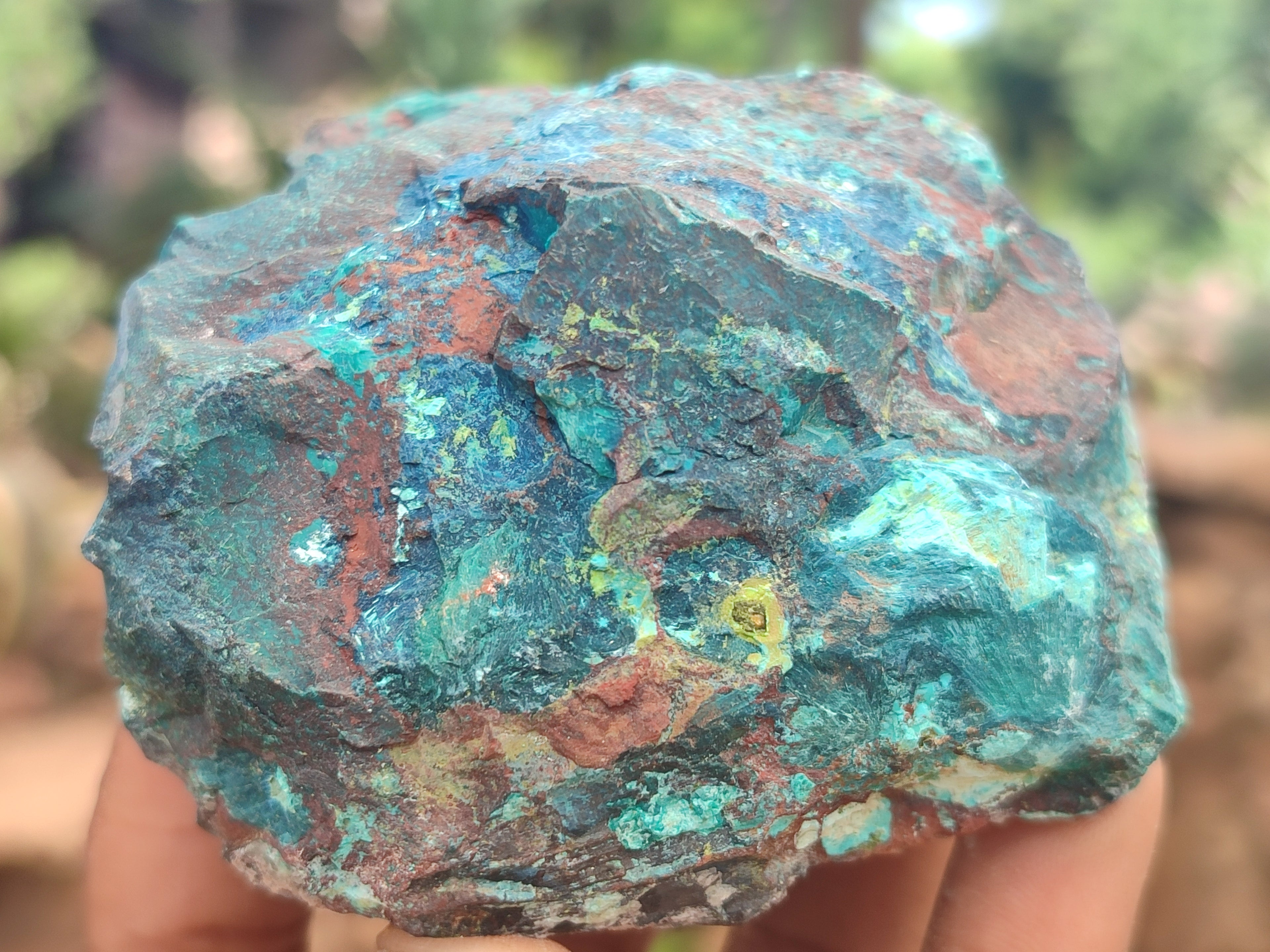 Natural Shattuckite with Chrysocolla and Malachite x 12 from Kaokoveld, Namibia - Toprock Gemstones and Minerals 