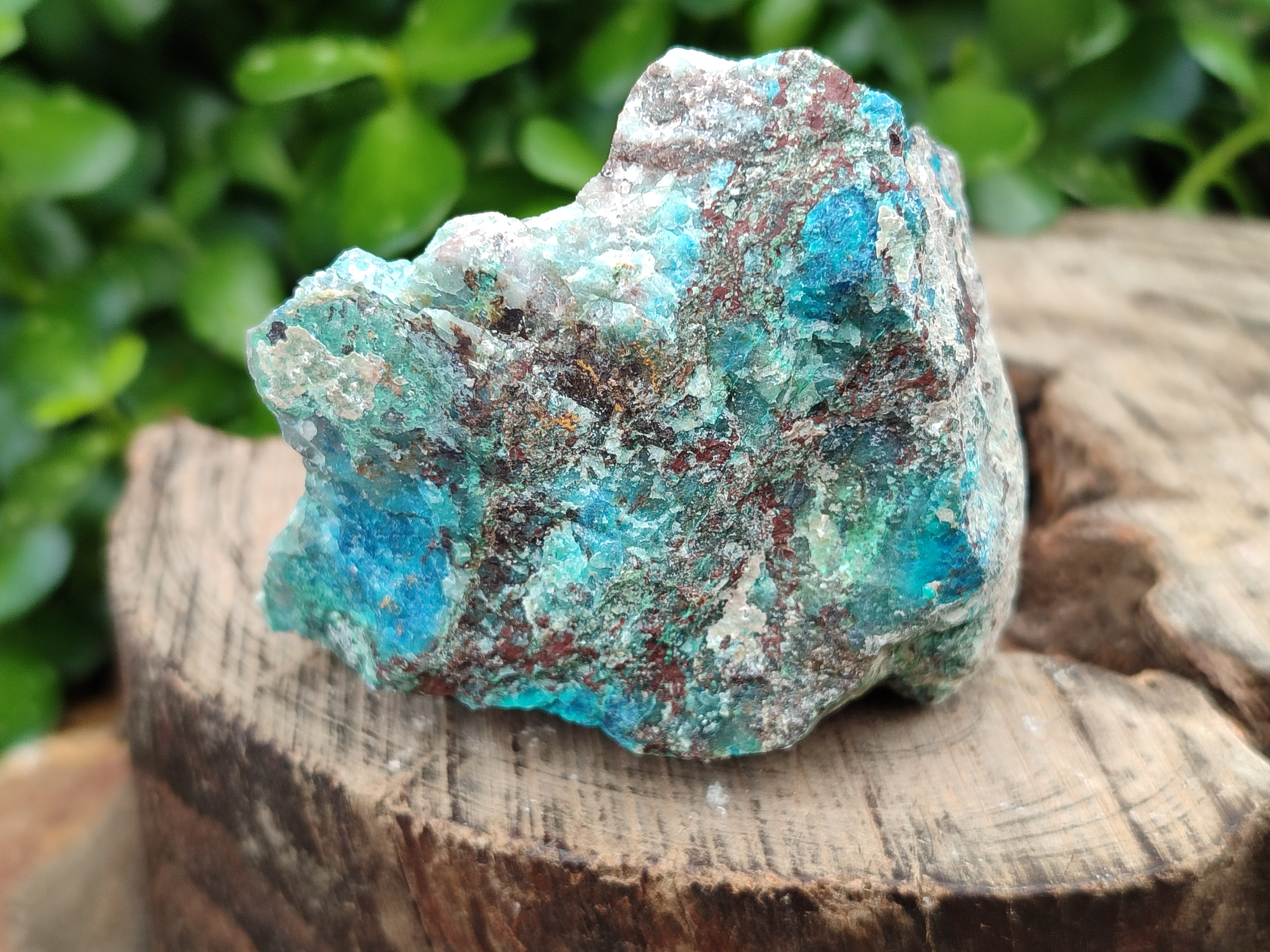 Natural Shattuckite with Chrysocolla and Malachite x 12 from Kaokoveld, Namibia - Toprock Gemstones and Minerals 
