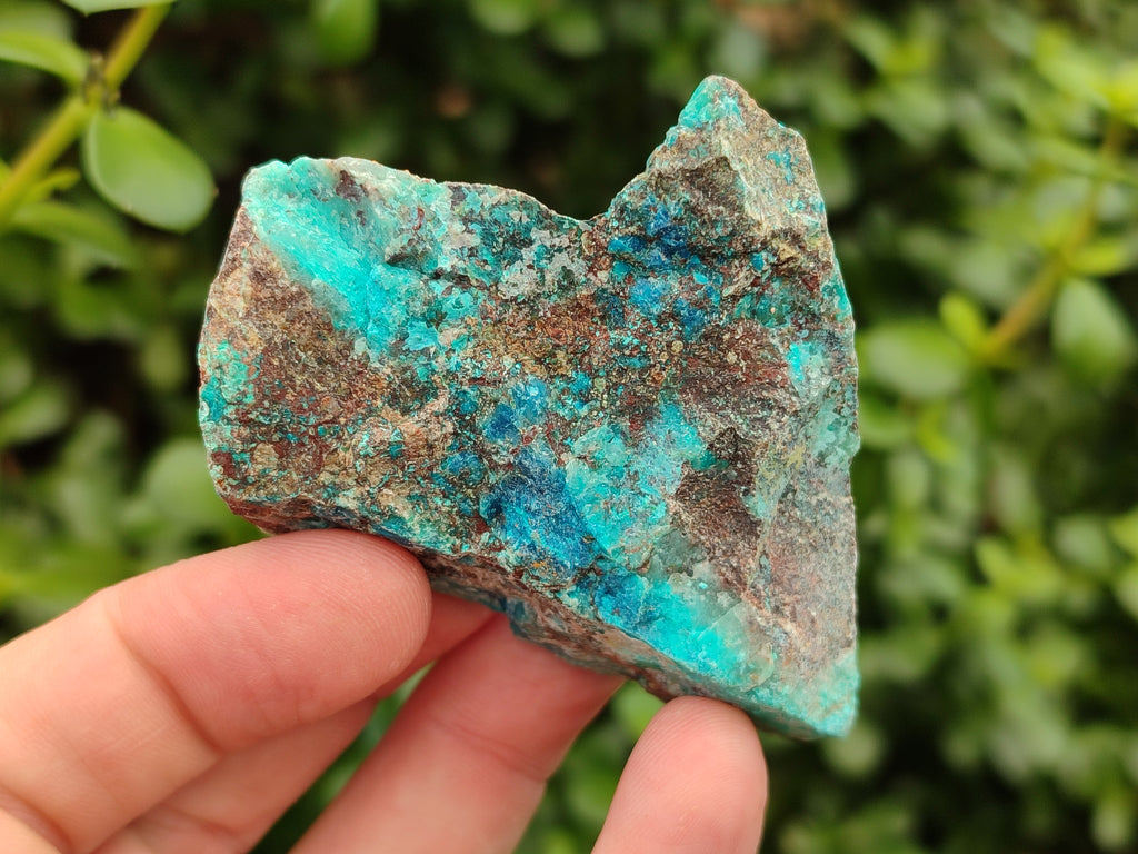 Natural Shattuckite with Chrysocolla and Malachite x 12 from Kaokoveld, Namibia - Toprock Gemstones and Minerals 