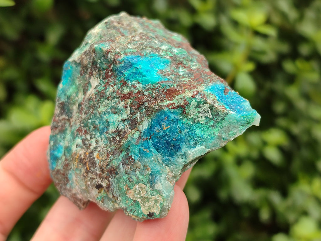 Natural Shattuckite with Chrysocolla and Malachite x 12 from Kaokoveld, Namibia - Toprock Gemstones and Minerals 