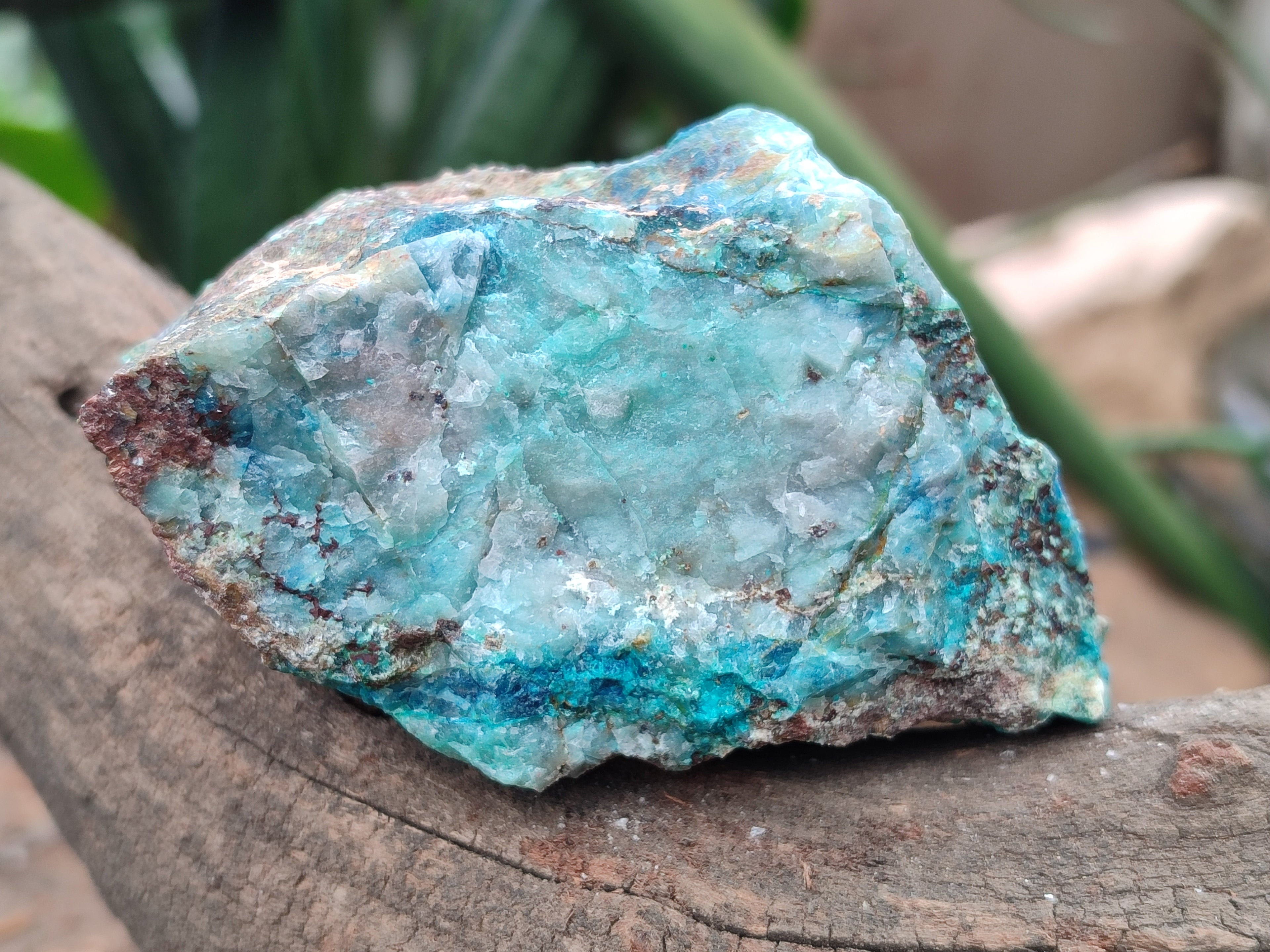 Natural Shattuckite with Chrysocolla and Malachite x 12 from Kaokoveld, Namibia - Toprock Gemstones and Minerals 