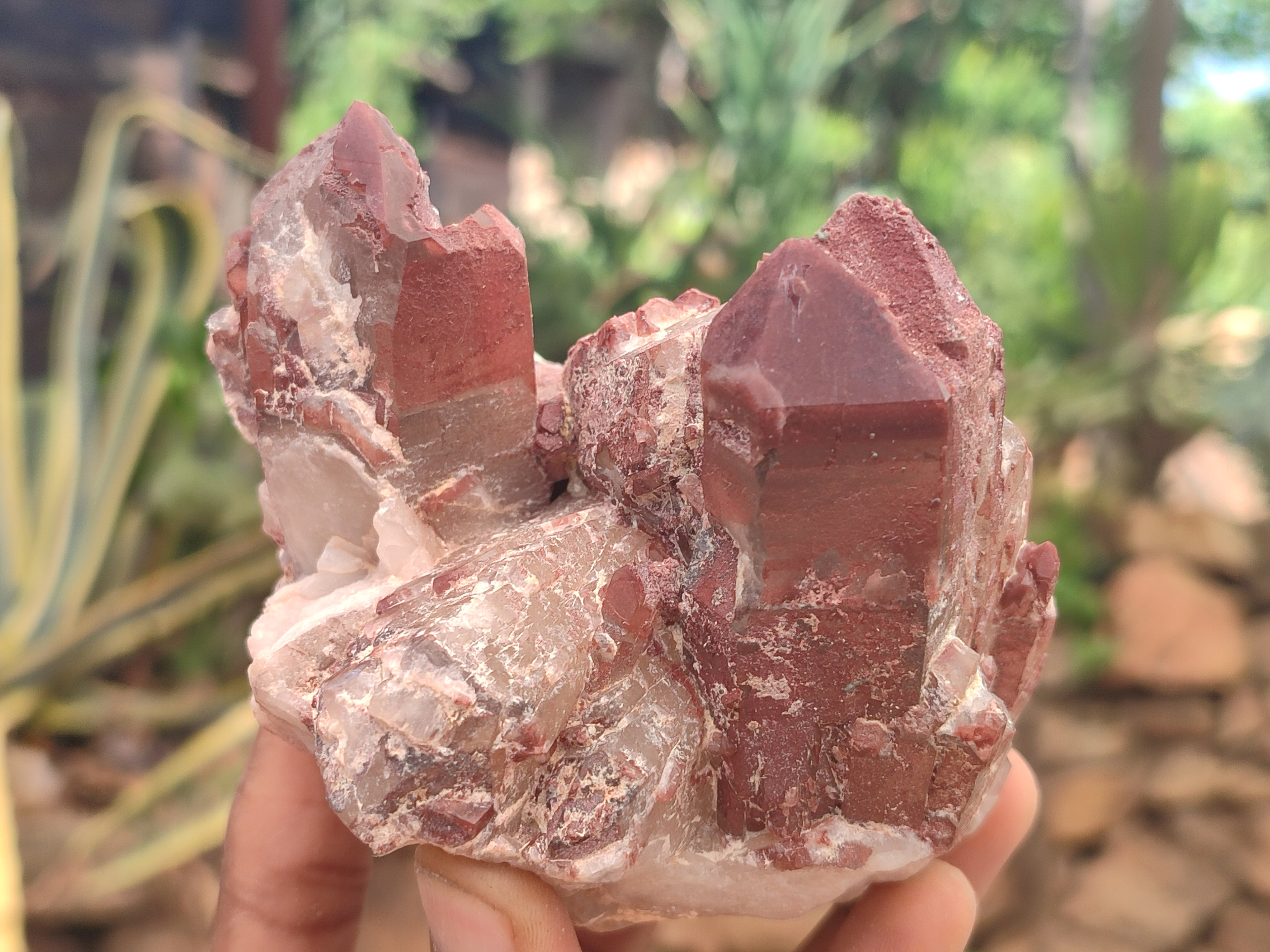 Natural Red Hematoid Quartz Clusters x 3 From Karoi, Zimbabwe - Toprock Gemstones and Minerals 