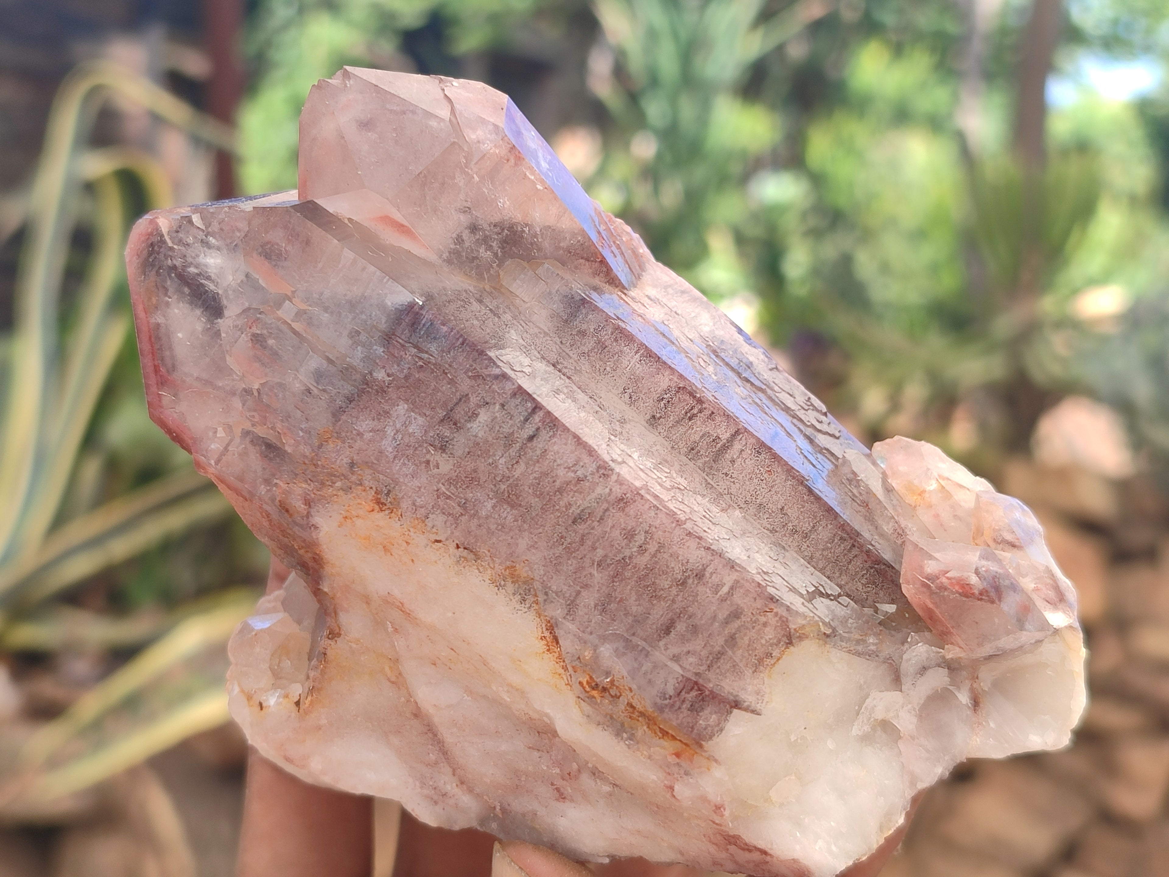 Natural Red Hematoid Quartz Clusters x 3 From Karoi, Zimbabwe - Toprock Gemstones and Minerals 
