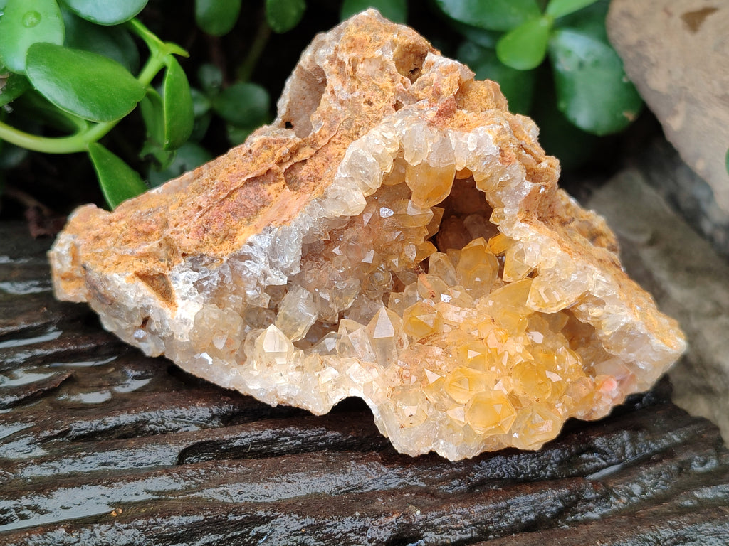 Natural Limonite Quartz Clusters x 12 From Solwezi, Zambia - Toprock Gemstones and Minerals 