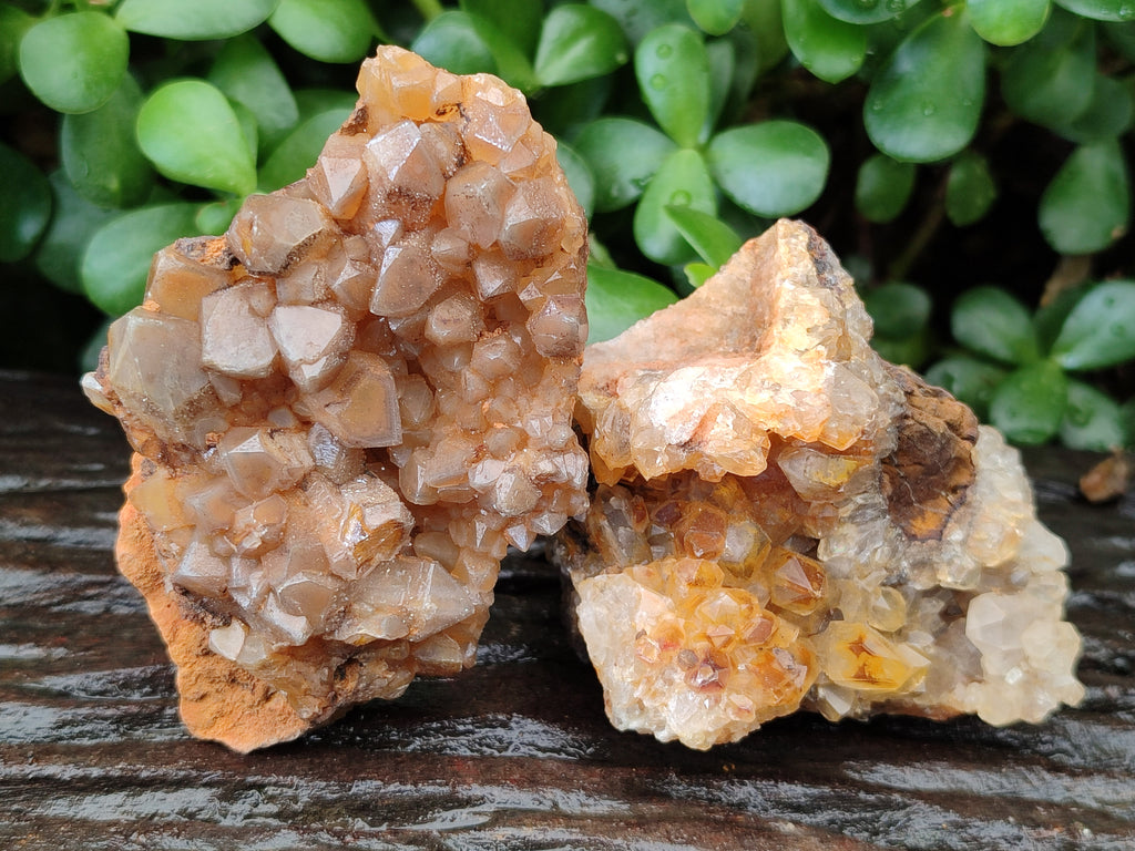 Natural Limonite Quartz Clusters x 12 From Solwezi, Zambia - Toprock Gemstones and Minerals 