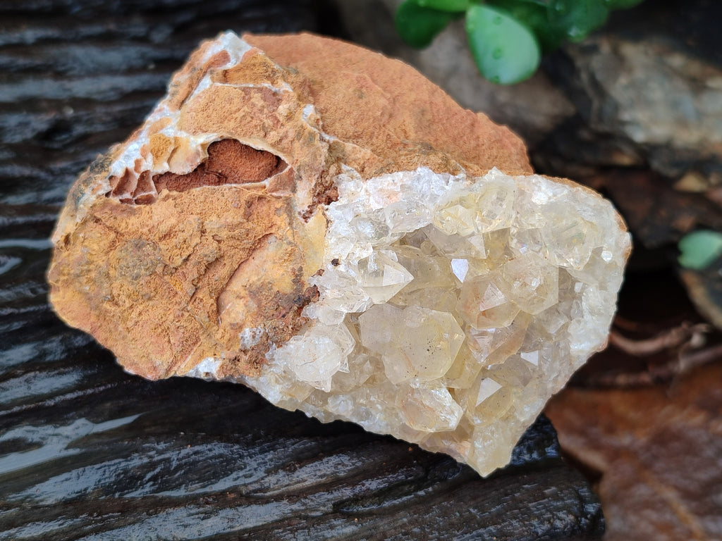 Natural Limonite Quartz Clusters x 12 From Solwezi, Zambia - Toprock Gemstones and Minerals 
