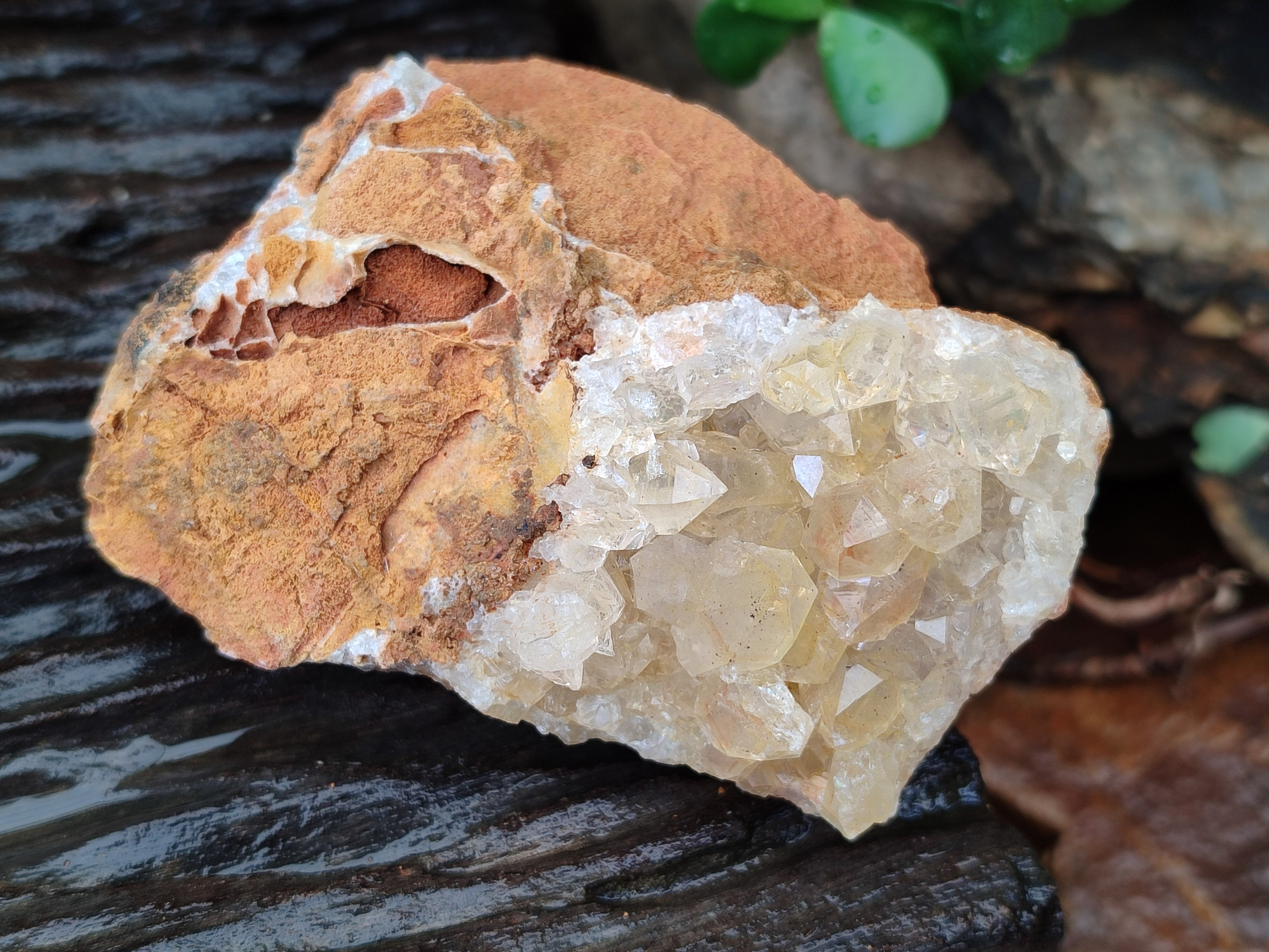 Natural Limonite Quartz Clusters x 12 From Solwezi, Zambia - Toprock Gemstones and Minerals 