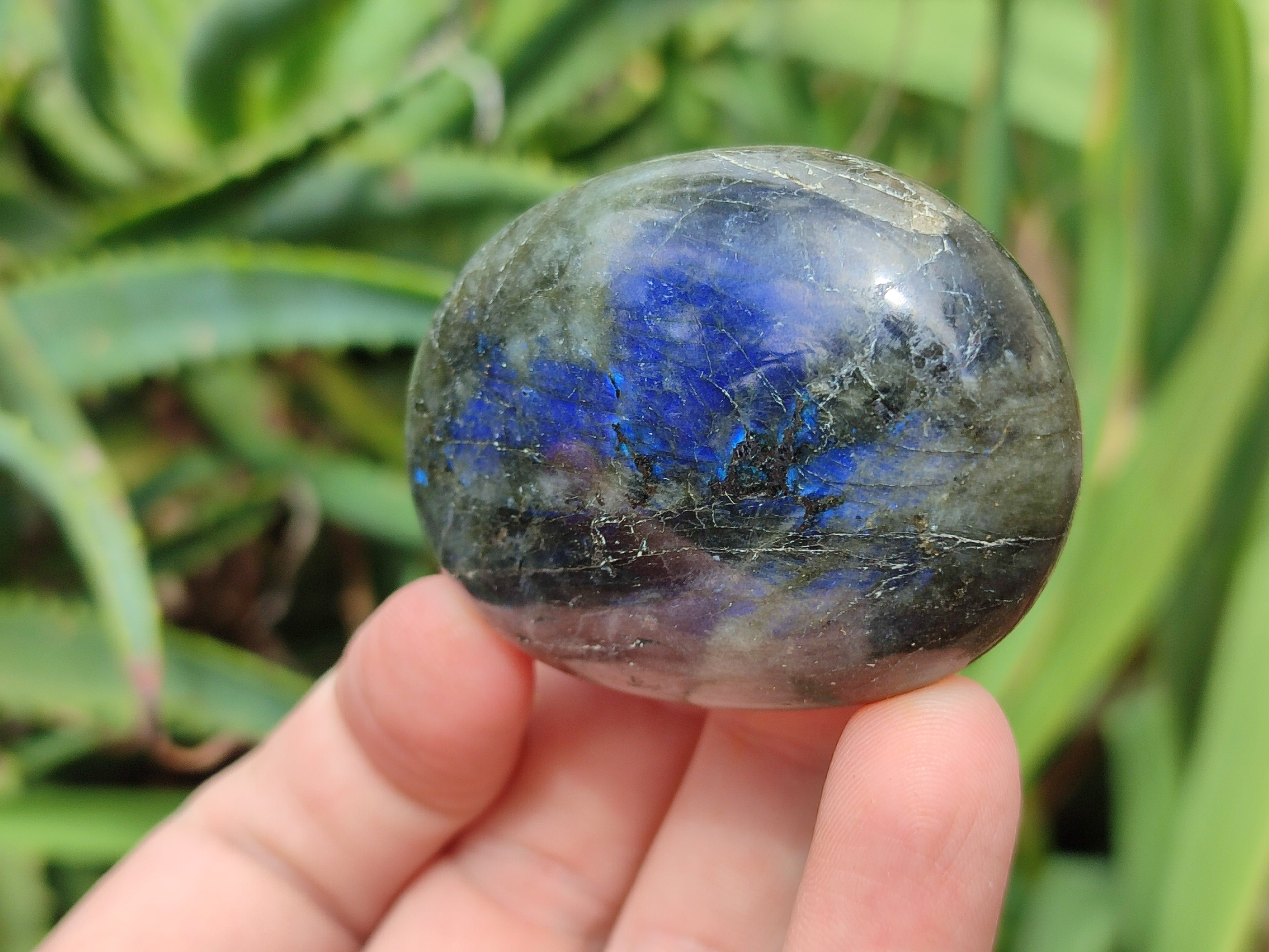 Polished Labradorite Palm Stones x 12 From Tulear, Madagascar - Toprock Gemstones and Minerals 