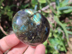 Polished Labradorite Palm Stones x 12 From Tulear, Madagascar - Toprock Gemstones and Minerals 