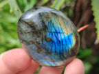 Polished Labradorite Palm Stones x 12 From Tulear, Madagascar - Toprock Gemstones and Minerals 