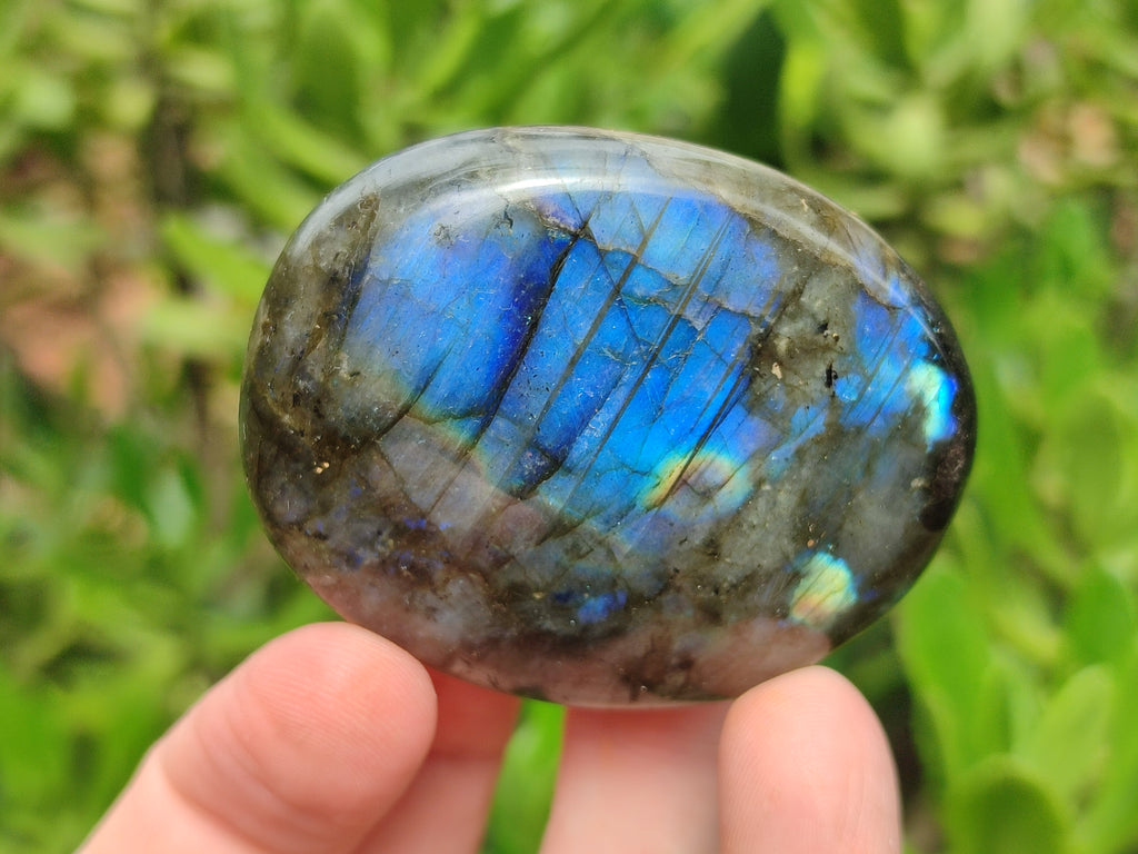 Polished Labradorite Palm Stones x 12 From Tulear, Madagascar - Toprock Gemstones and Minerals 