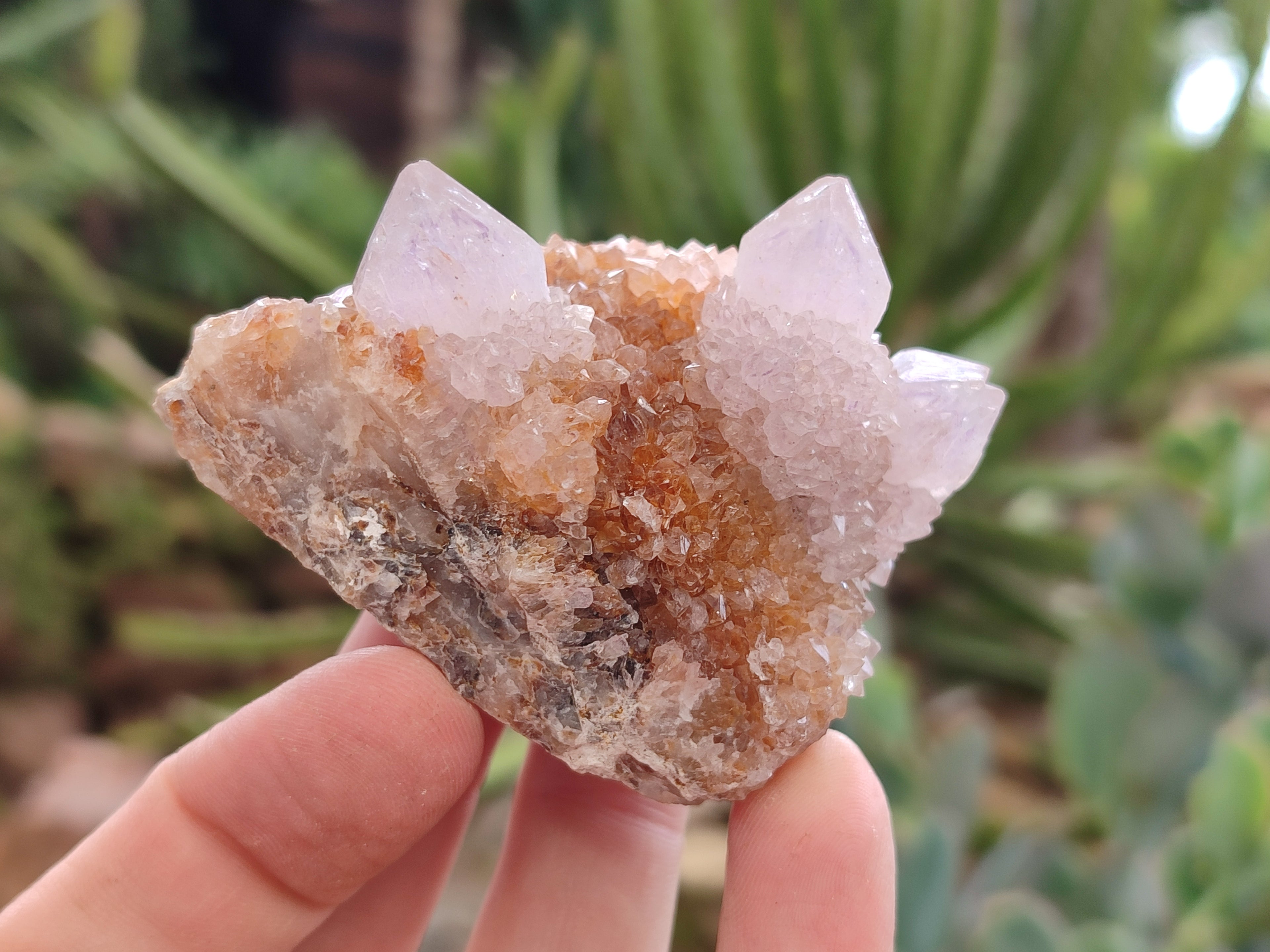 Natural Amethyst Spirit Quartz Clusters x 12 From Boekenhouthoek, South Africa - Toprock Gemstones and Minerals 