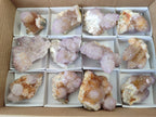 Natural Amethyst Spirit Quartz Clusters x 12 From Boekenhouthoek, South Africa - Toprock Gemstones and Minerals 