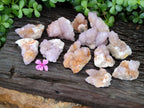 Natural Amethyst Spirit Quartz Clusters x 12 From Boekenhouthoek, South Africa - Toprock Gemstones and Minerals 