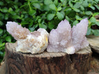 Natural Amethyst Spirit Quartz Clusters x 12 From Boekenhouthoek, South Africa - Toprock Gemstones and Minerals 