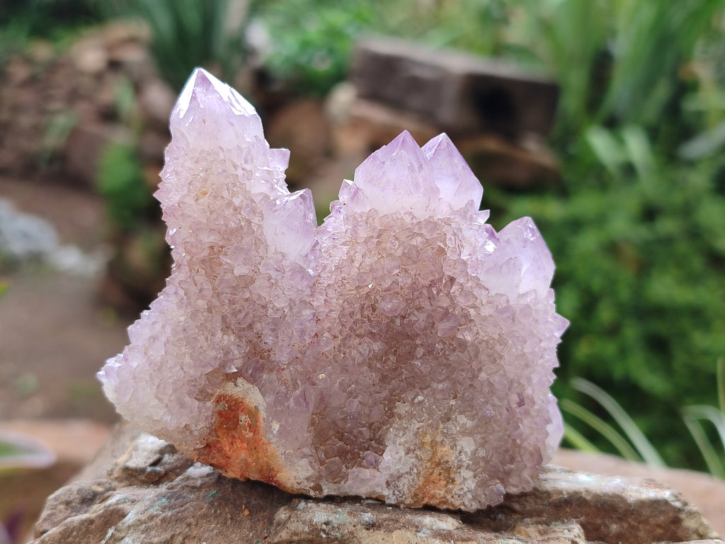 Natural Amethyst Spirit Quartz Clusters x 12 From Boekenhouthoek, South Africa - Toprock Gemstones and Minerals 