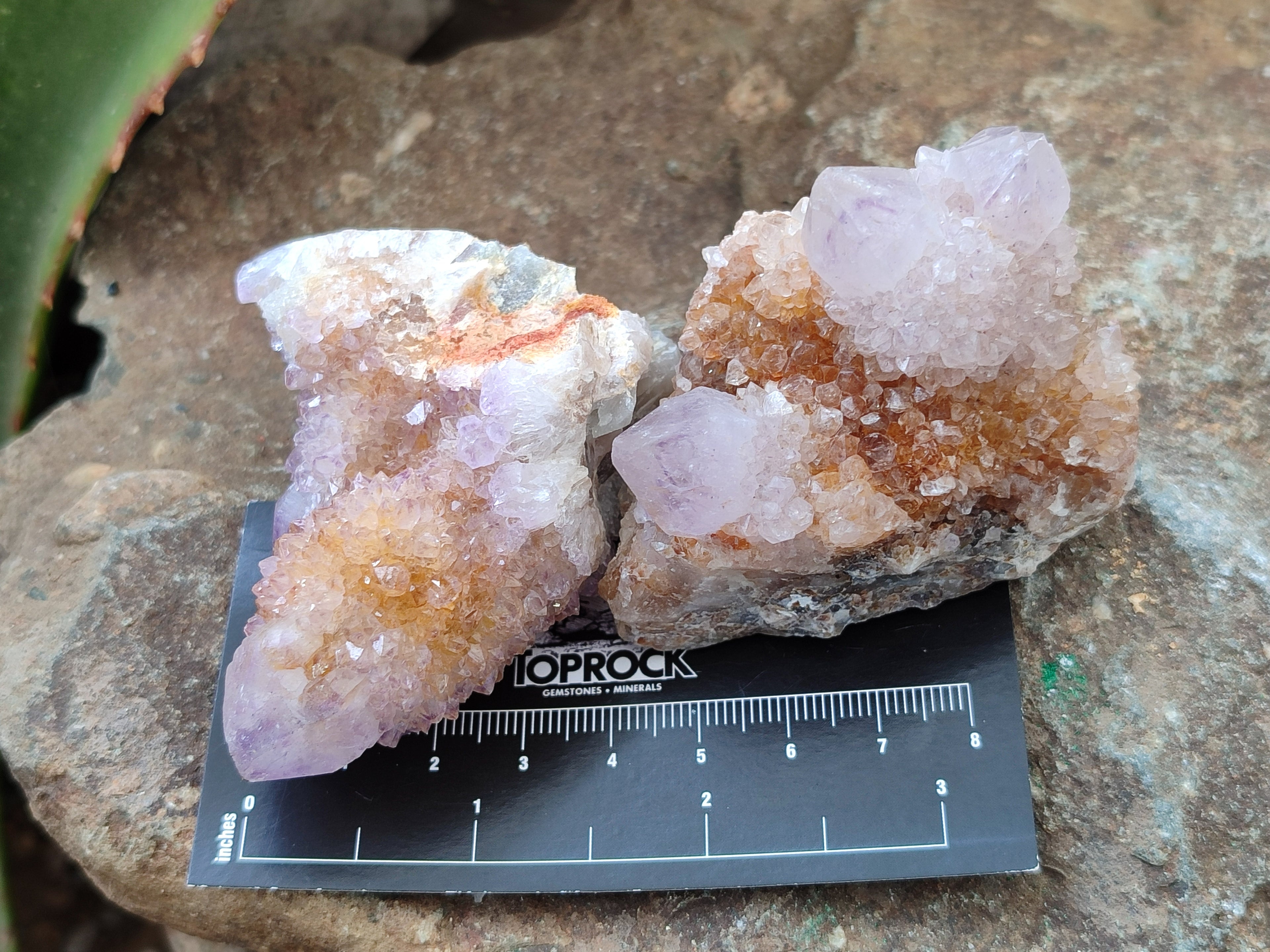 Natural Amethyst Spirit Quartz Clusters x 12 From Boekenhouthoek, South Africa - Toprock Gemstones and Minerals 
