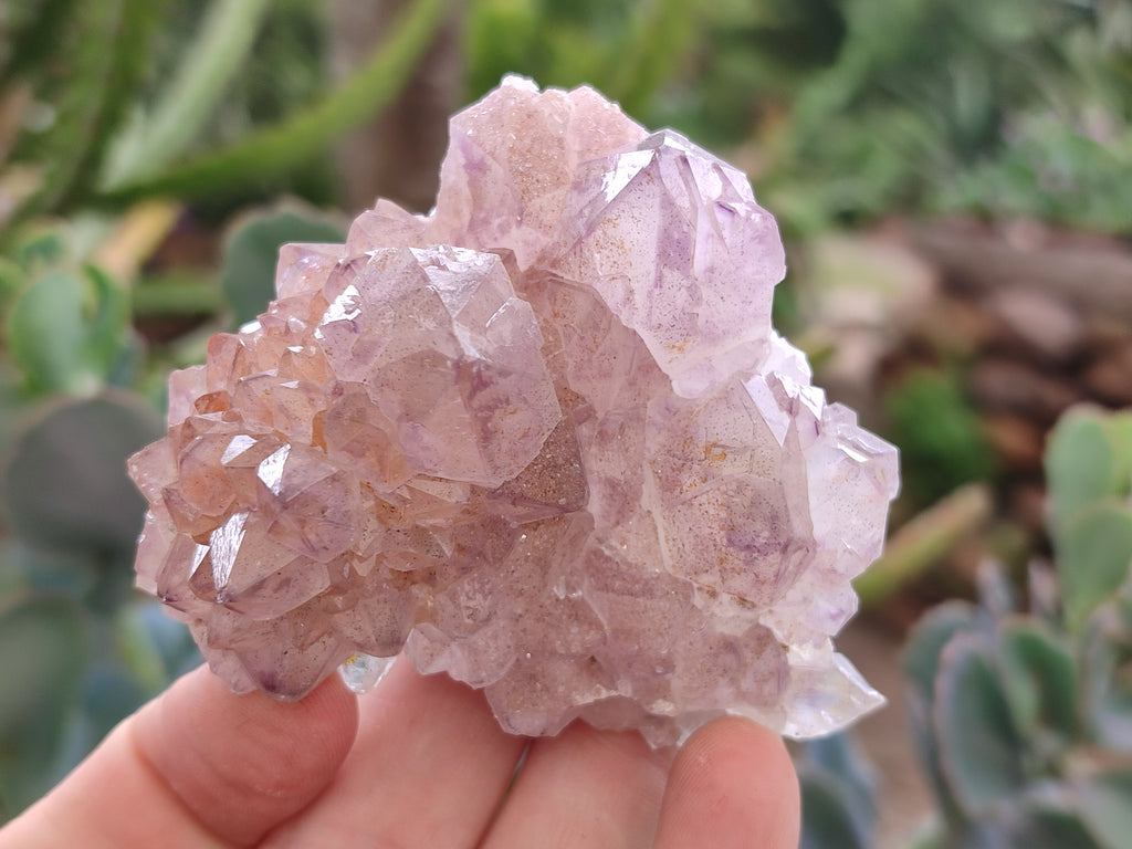 Natural Amethyst Spirit Quartz Clusters x 12 From Boekenhouthoek, South Africa - Toprock Gemstones and Minerals 