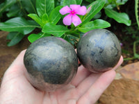 Polished Pharaoh Stone Spheres x 3 From Zimbabwe - Toprock Gemstones and Minerals 