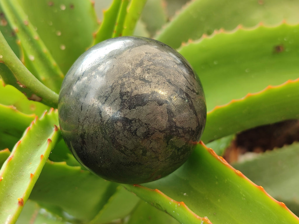 Polished Pharaoh Stone Spheres x 3 From Zimbabwe - Toprock Gemstones and Minerals 