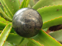 Polished Pharaoh Stone Spheres x 3 From Zimbabwe - Toprock Gemstones and Minerals 