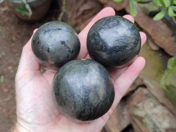Polished Pharaoh Stone Spheres x 3 From Zimbabwe - Toprock Gemstones and Minerals 