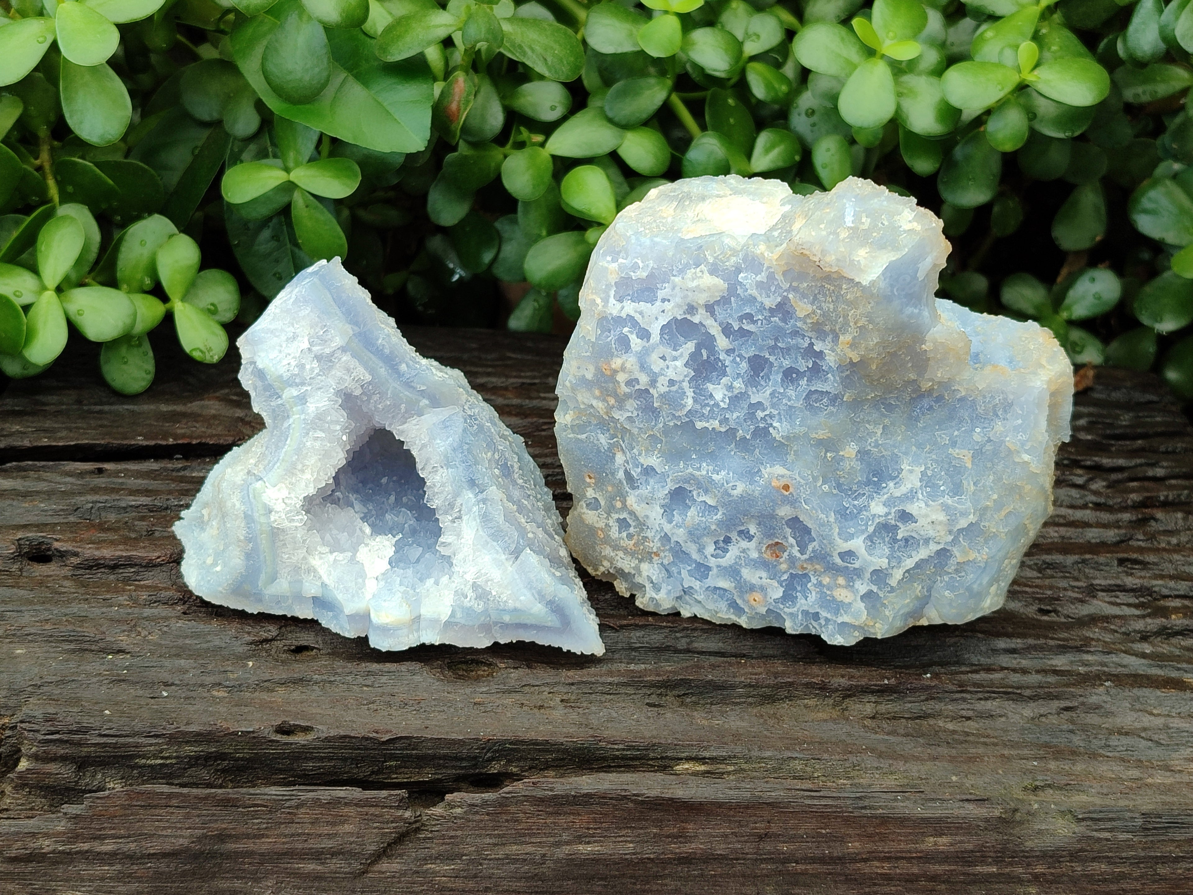 Natural Etched Blue Chalcedony Specimens x 2 From Nsanje, Malawi - Toprock Gemstones and Minerals 