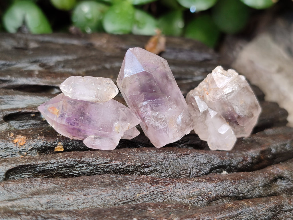 Natural Zululand Amethyst Crystals x 70 From South Africa - Toprock Gemstones and Minerals 