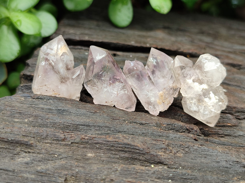 Natural Zululand Amethyst Crystals x 70 From South Africa - Toprock Gemstones and Minerals 