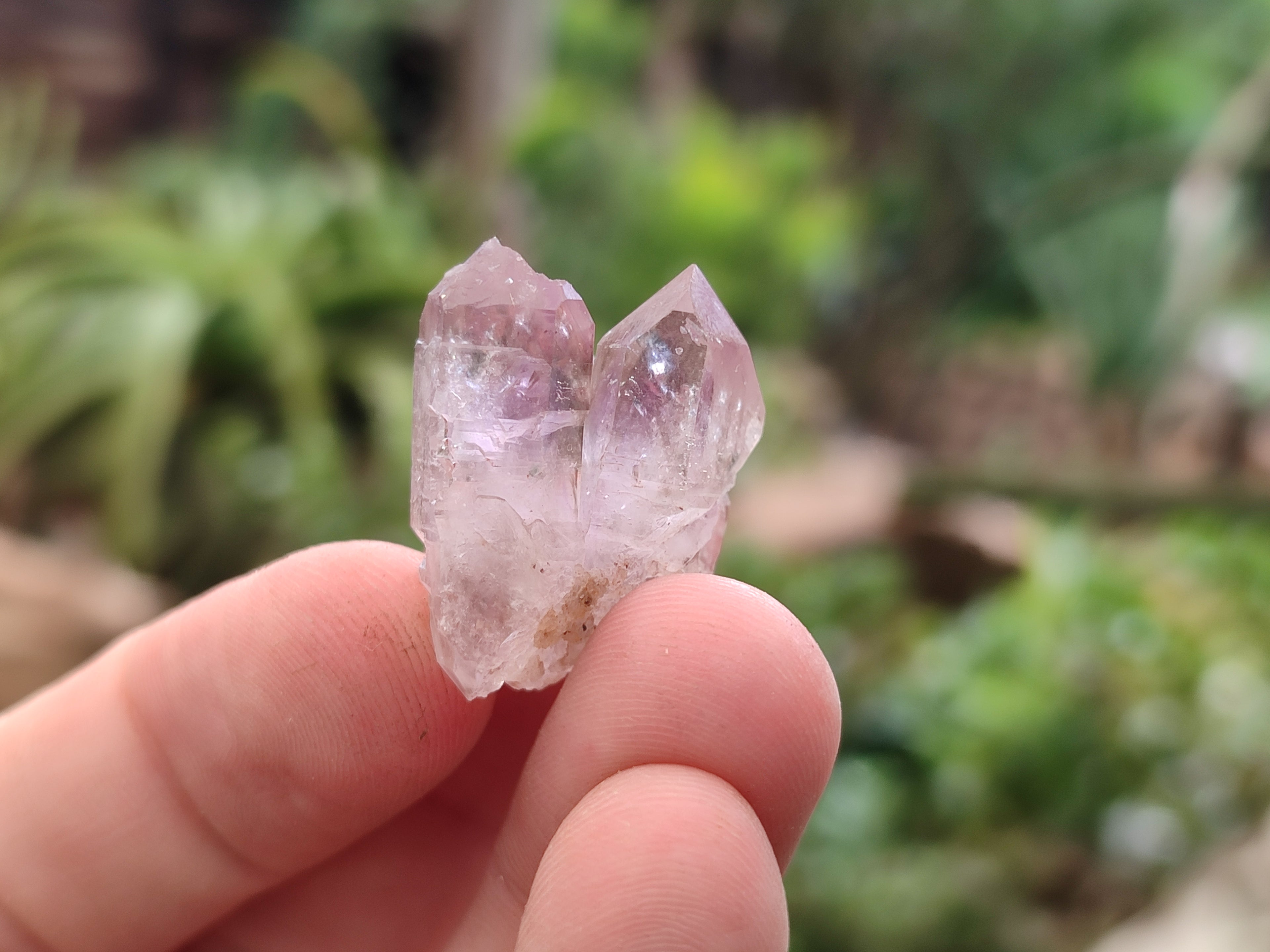 Natural Zululand Amethyst Crystals x 70 From South Africa - Toprock Gemstones and Minerals 