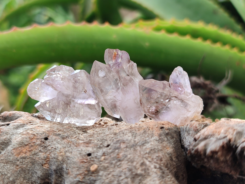 Natural Zululand Amethyst Crystals x 70 From South Africa - Toprock Gemstones and Minerals 