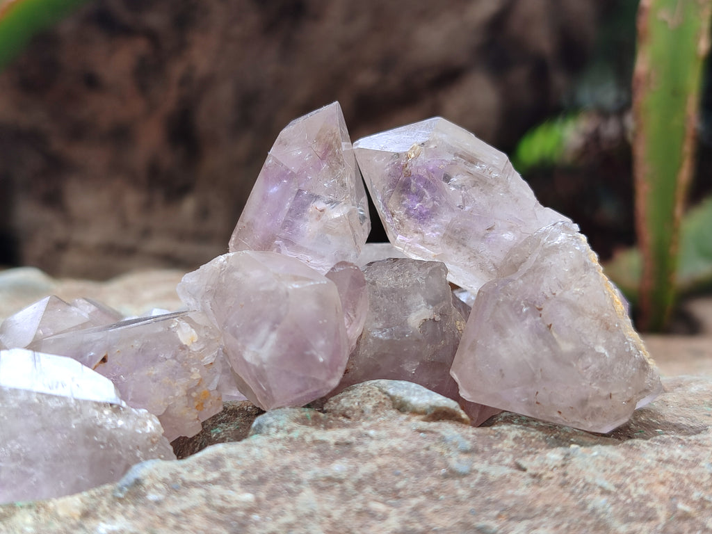 Natural Zululand Amethyst Crystals x 70 From South Africa - Toprock Gemstones and Minerals 