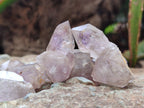 Natural Zululand Amethyst Crystals x 70 From South Africa - Toprock Gemstones and Minerals 