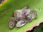 Natural Zululand Amethyst Crystals x 70 From South Africa - Toprock Gemstones and Minerals 