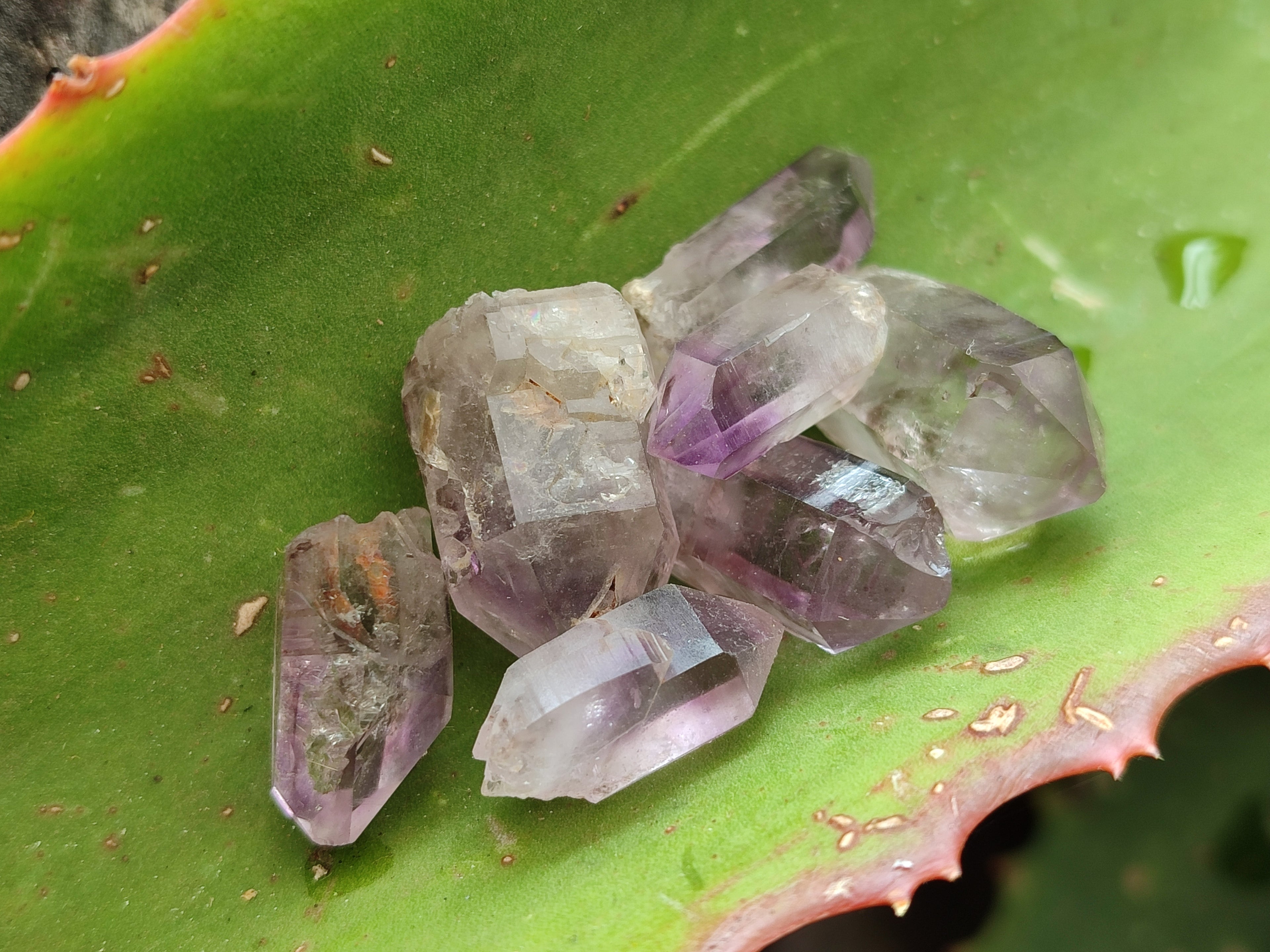 Natural Zululand Amethyst Crystals x 70 From South Africa - Toprock Gemstones and Minerals 