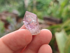 Natural Zululand Amethyst Crystals x 70 From South Africa - Toprock Gemstones and Minerals 
