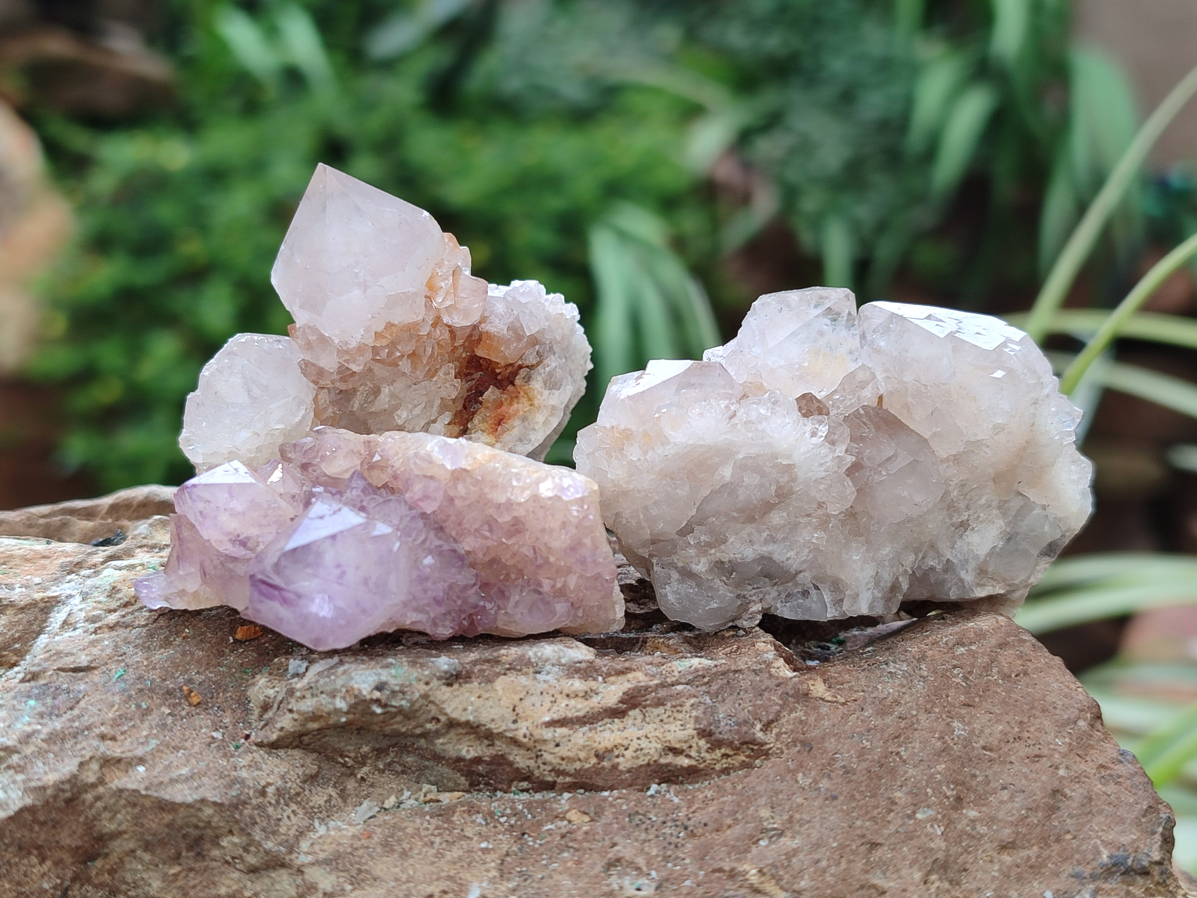Natural Ametrine Spirit Quartz Clusters x 35 From Boekenhouthoek, South Africa - Toprock Gemstones and Minerals 