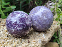 Polished Lepidolite with Pink Rubellite Spheres x 4 From Ambatondrazaka, Madagascar - Toprock Gemstones and Minerals 
