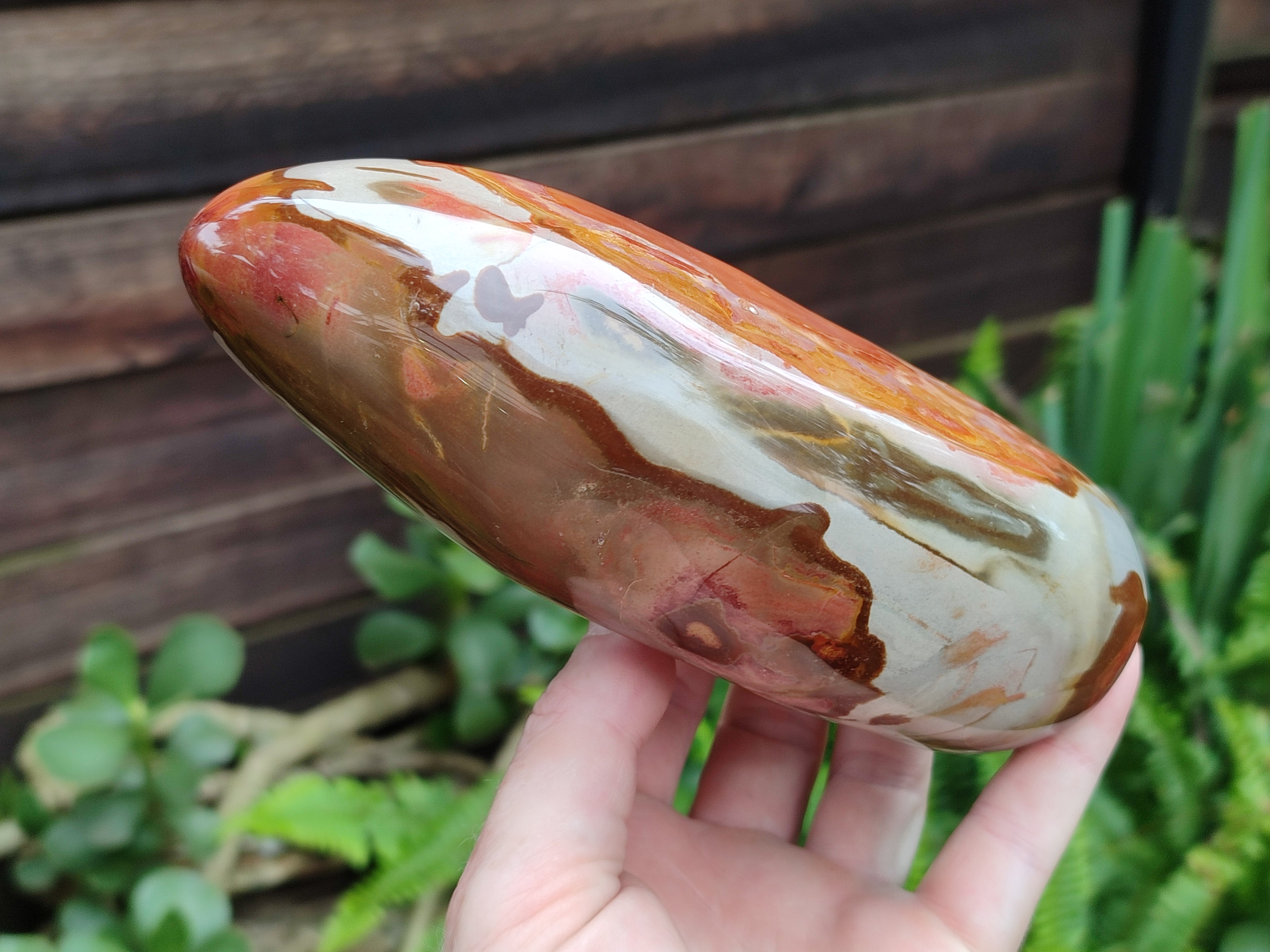 Polished Polychrome Jasper Standing Free Forms x 3 From Mahajanga, Madagascar - Toprock Gemstones and Minerals 