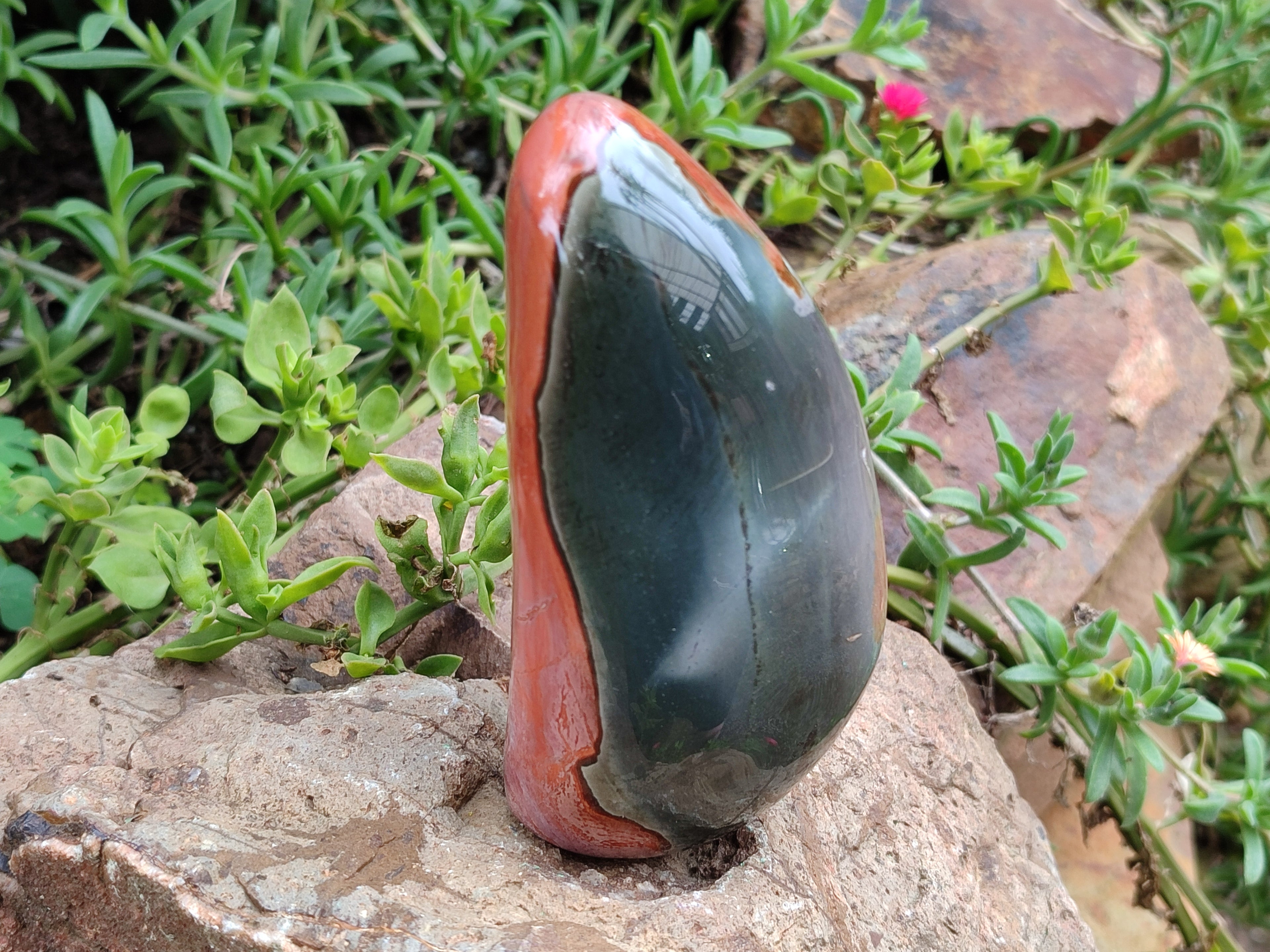 Polished Polychrome Jasper Standing Free Forms x 3 From Mahajanga, Madagascar - Toprock Gemstones and Minerals 