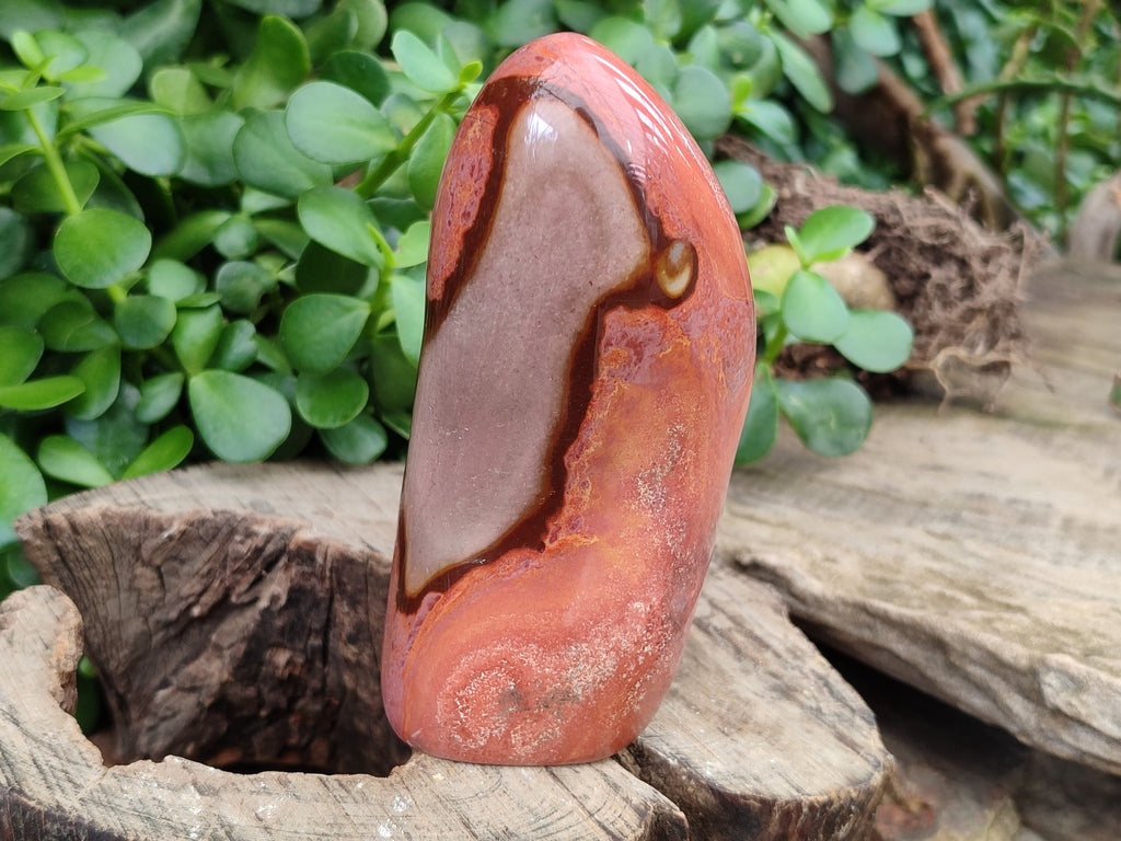 Polished Polychrome Jasper Standing Free Forms x 3 From Mahajanga, Madagascar - Toprock Gemstones and Minerals 