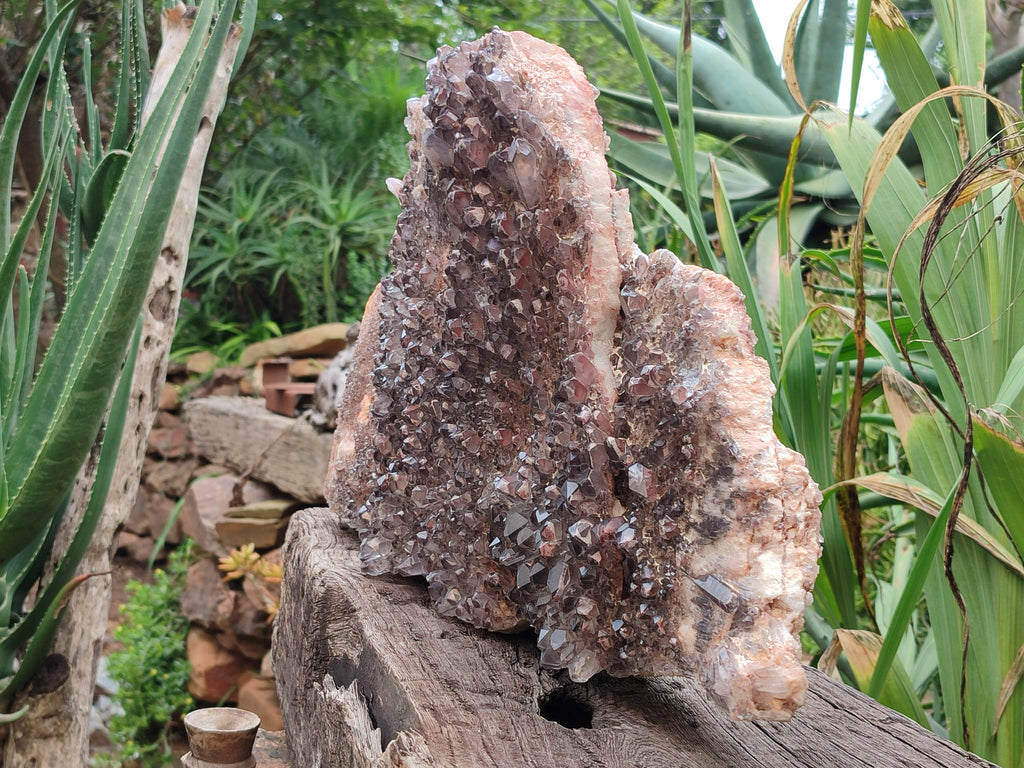Natural Hematoid Quartz Cluster x 1 From Zambia - Toprock Gemstones and Minerals 