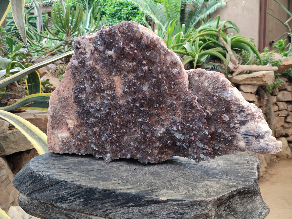 Natural Hematoid Quartz Cluster x 1 From Zambia - Toprock Gemstones and Minerals 