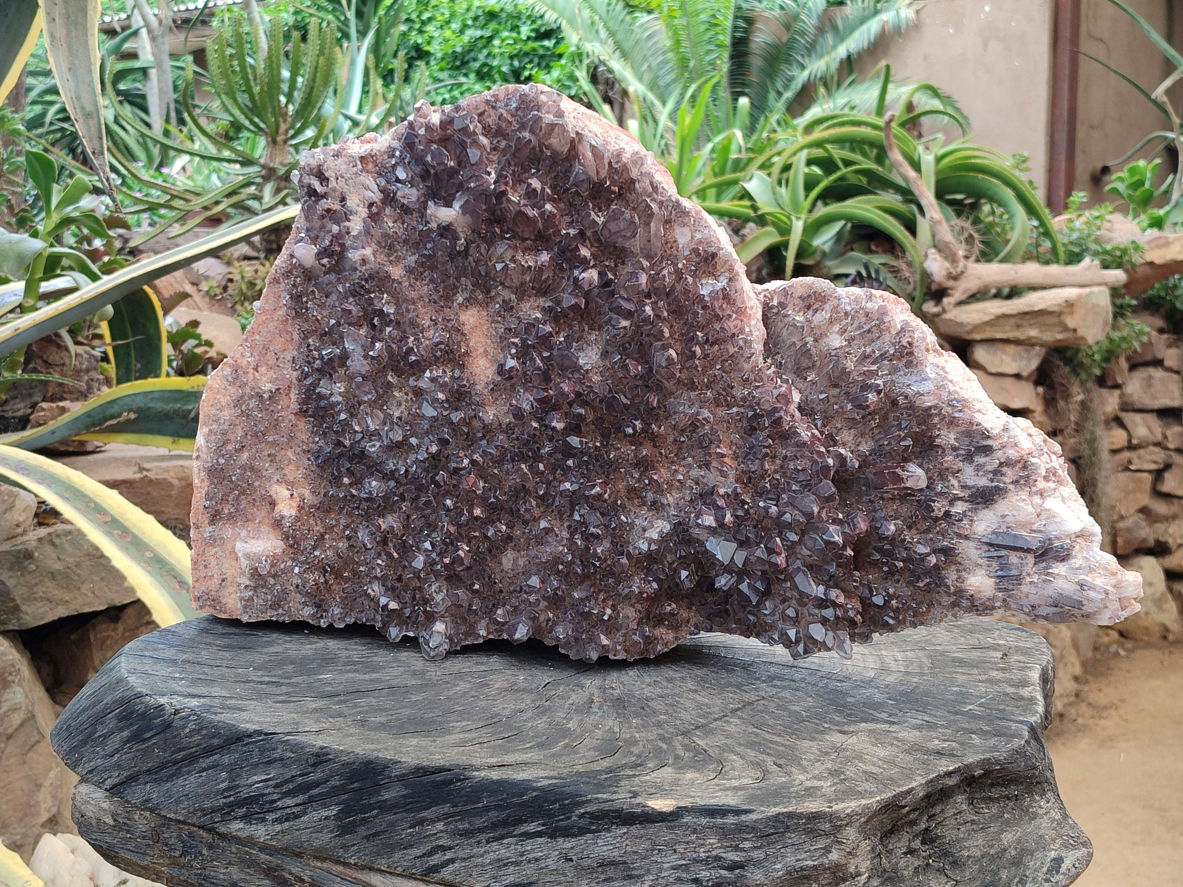 Natural Hematoid Quartz Cluster x 1 From Zambia - Toprock Gemstones and Minerals 